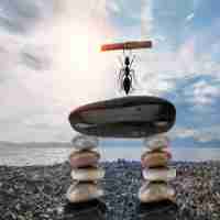 php网‌页​源﻿码‍